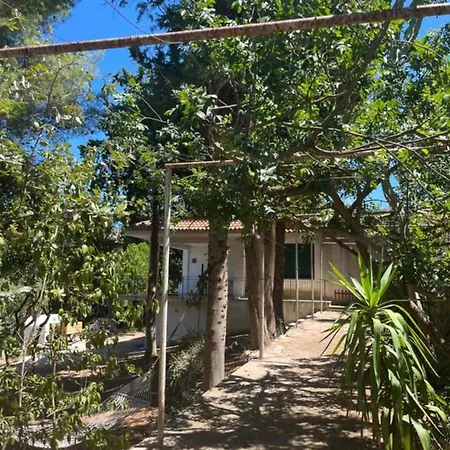Sally Holiday home